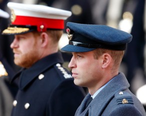 prince william and prince harry in uniform