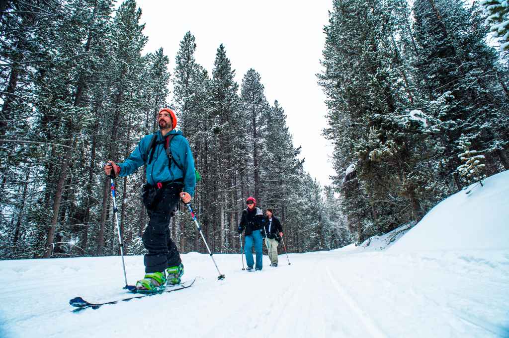 People cross country skiing in Jockson Hole, Wyoming.