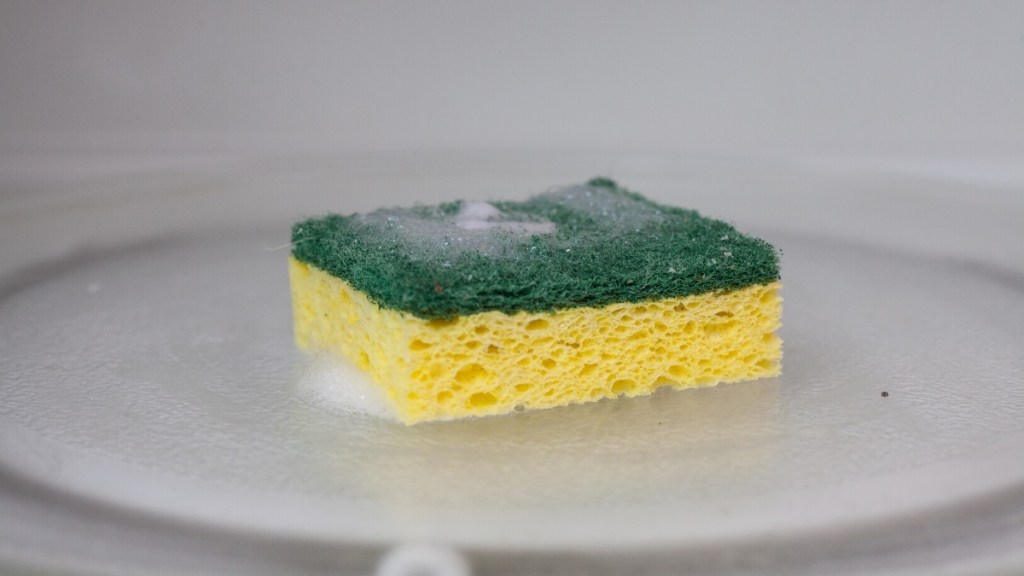 A sponge in a microwave, which is a germ hot spot