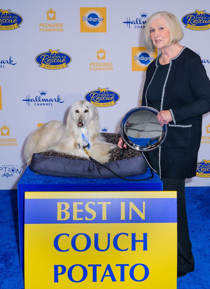 best in couch potato - spencer