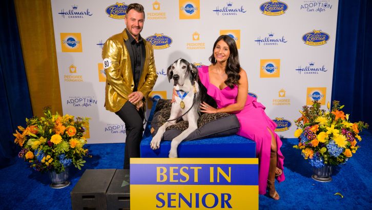 best in senior- goliath