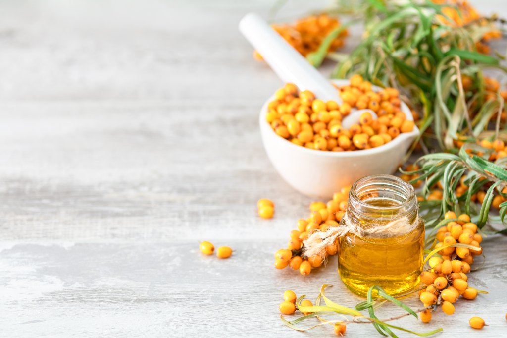 Natural, organic sea-buckthorn berry in bowl and and sea buckthorn oil in glass vintage bottle