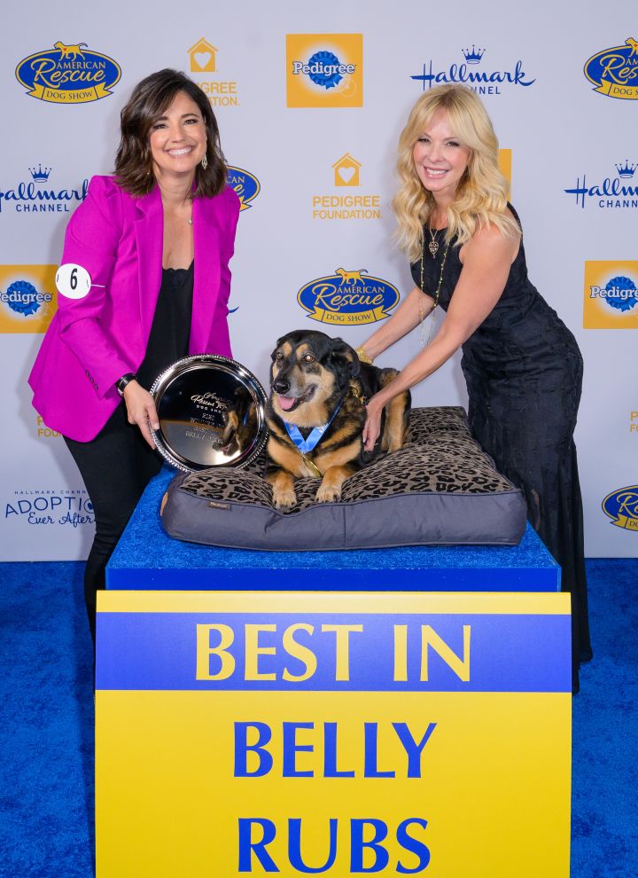 sugar - best in belly rubs