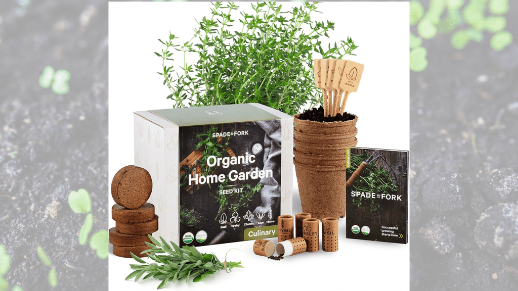 indoor herb garden starter kit
