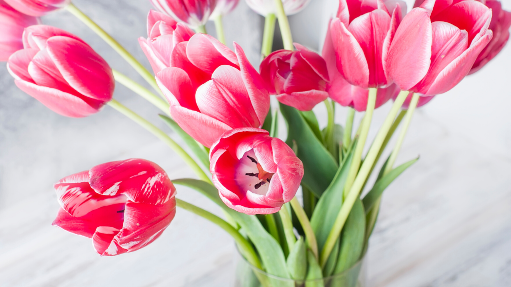 5 Tips to Keep Flower Bouquets Alive and Looking Fresher Longer