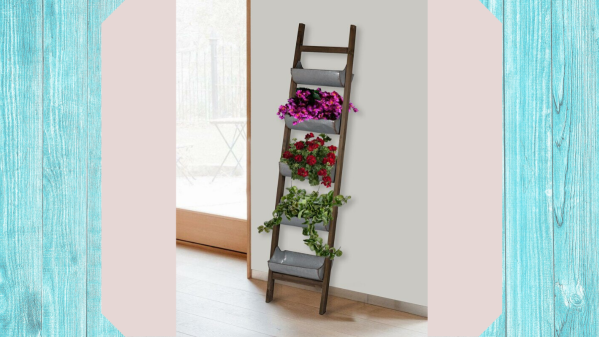 ladder wall planters