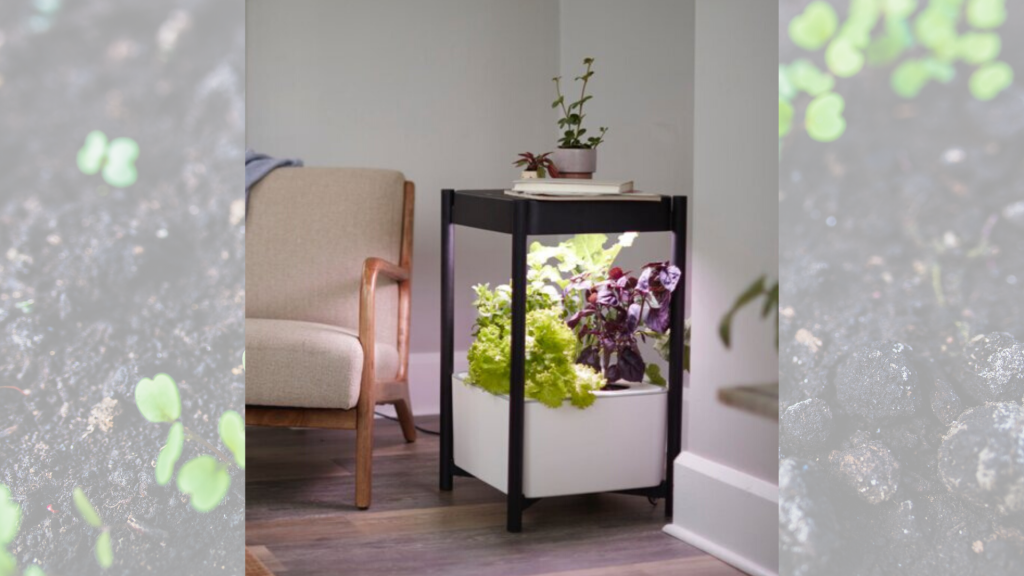 Bauer-Product-Images-3-1