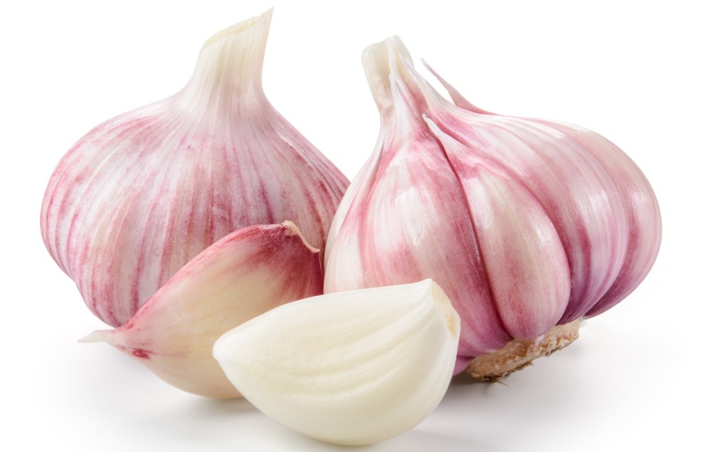 Garlic helps cure a UTI
