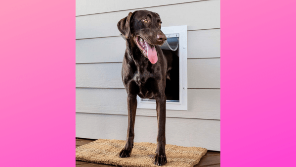 Dog door