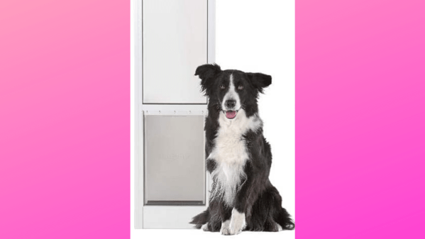 Dog door