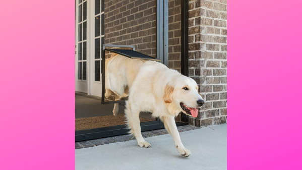 Dog door
