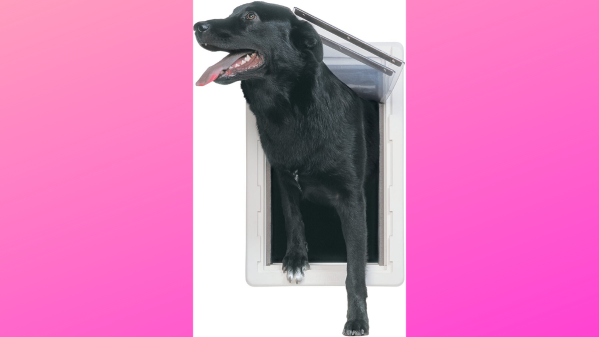 Dog door