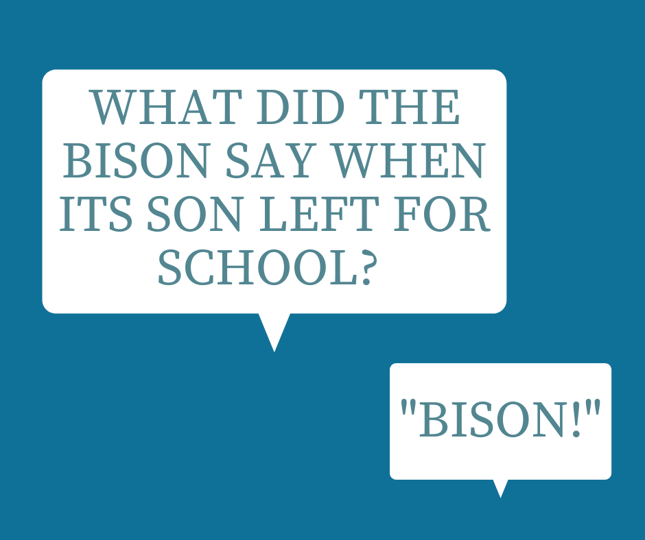 Bison joke