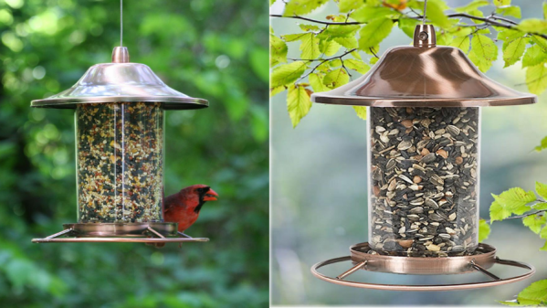 Deals-of-the-week-2020-07-30T140544.151