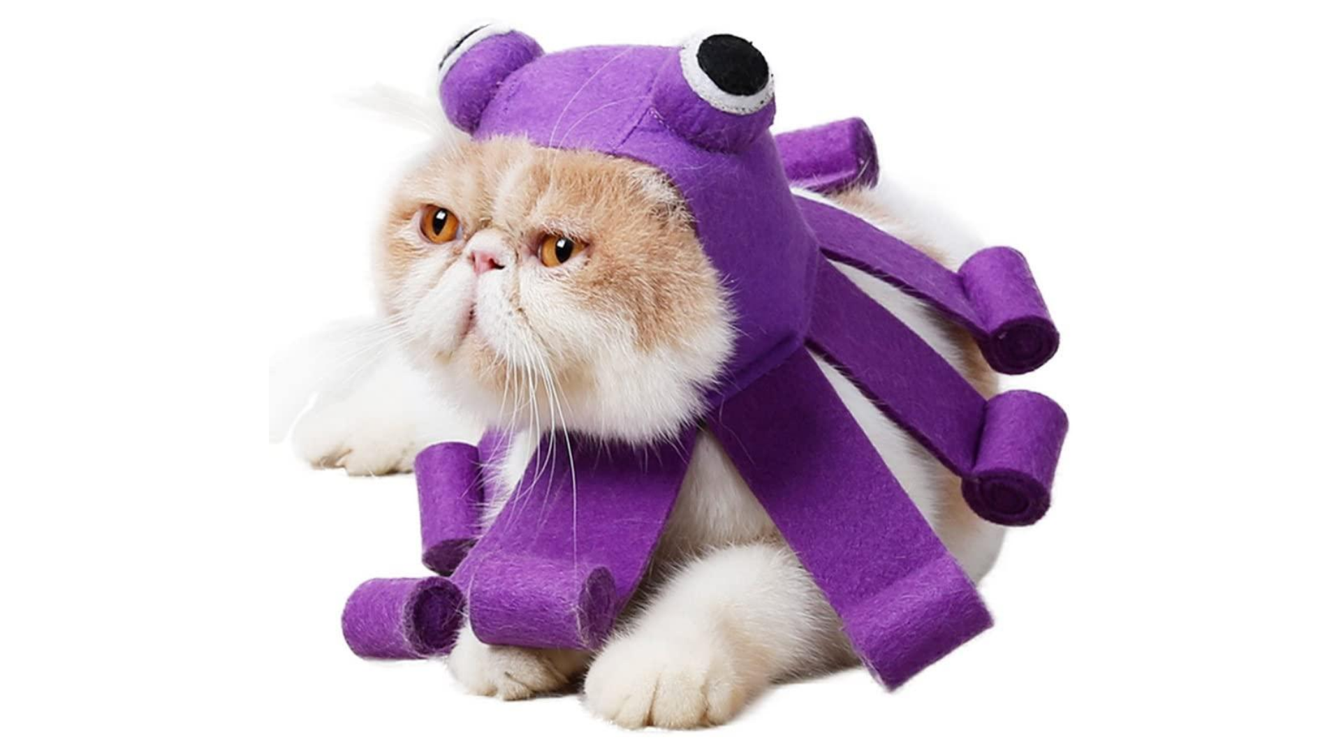 cat costumes