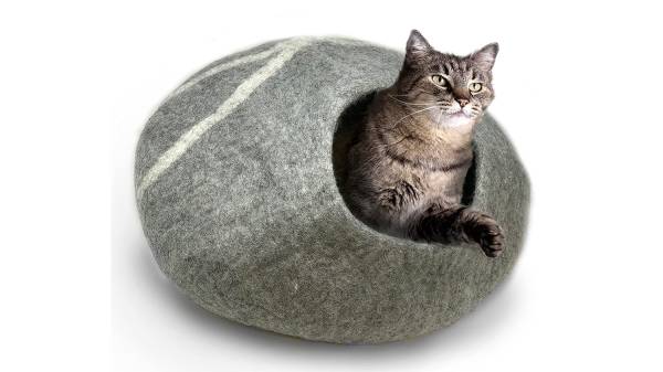 covered wool cat bed