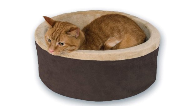 heated cat bed