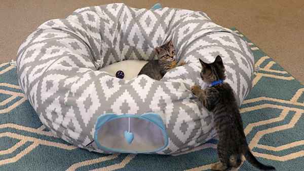 walmart tunnel cat bed