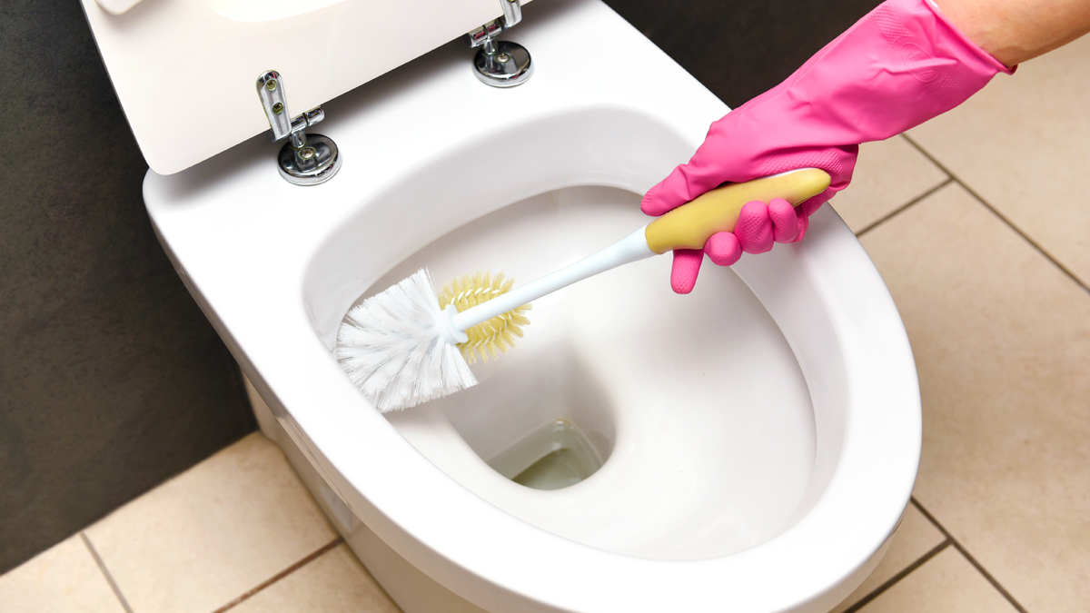 What Causes Black Stains in Your Toilet & How to Fix It