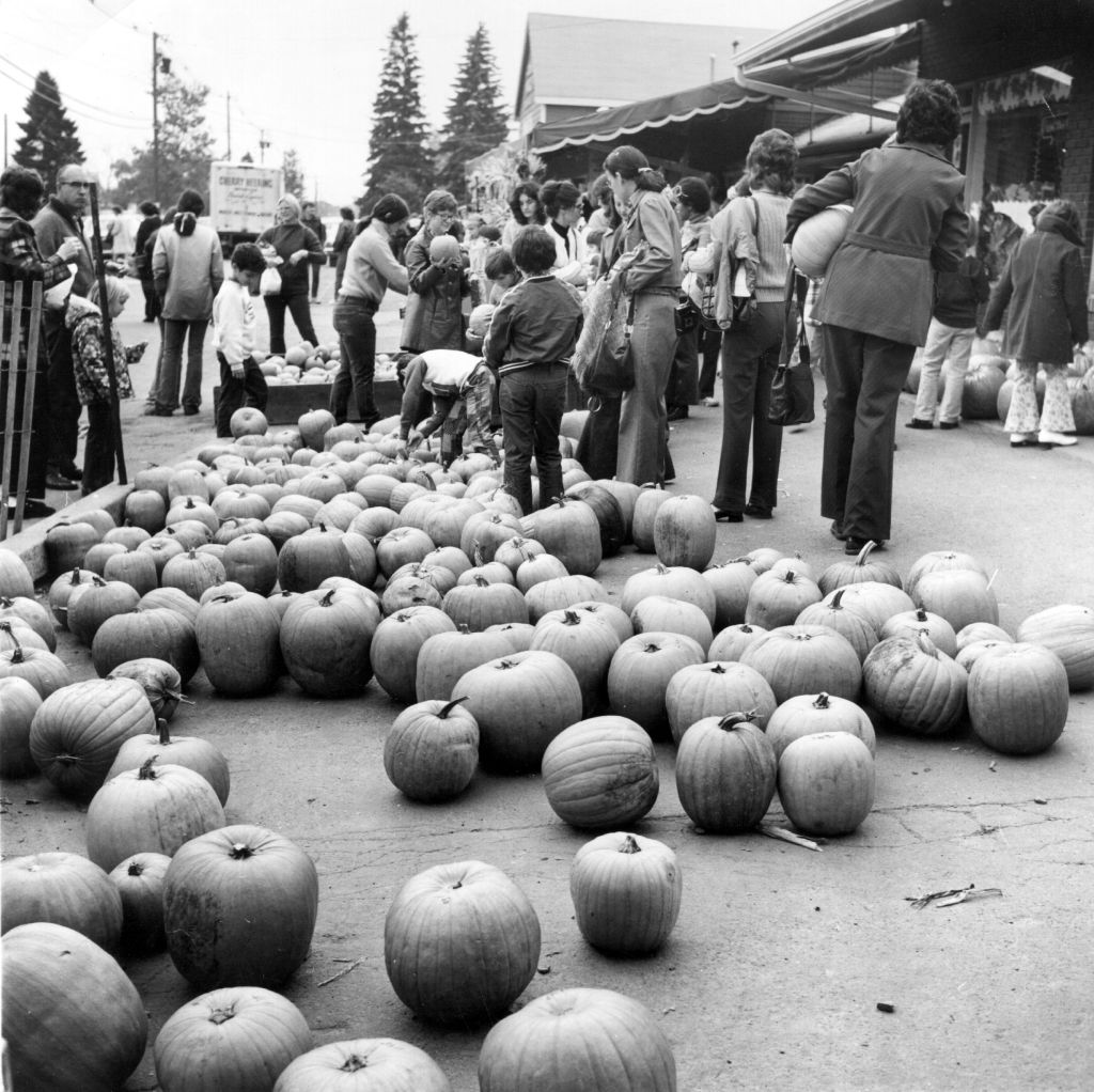 Pumpkins for sale in new york in 1975
