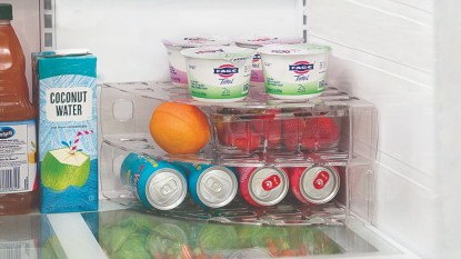 Magazine files can be used to organize a fridge