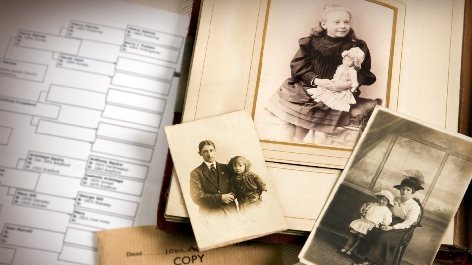 Old photographs next to family tree