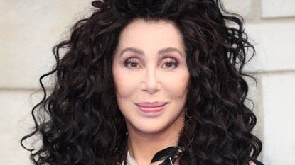 Cher Story Image