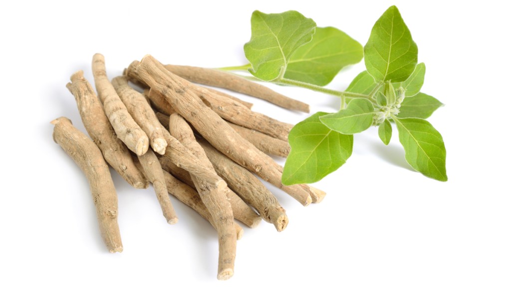 Ashwagandha root next to plant leaves, one of the best vitamins for anxiety