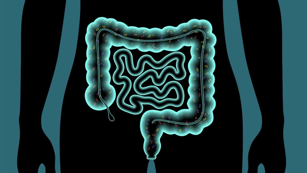 An illustration of the gut microbiome and intestines