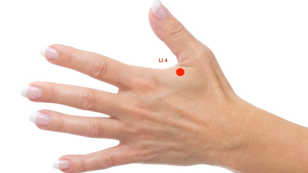 A woman's hand with an illustration of the LI 4 sinus pressure relief points