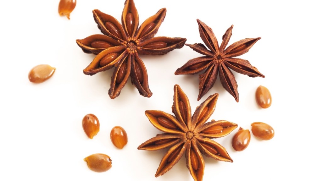 Star anise, a holiday spice
