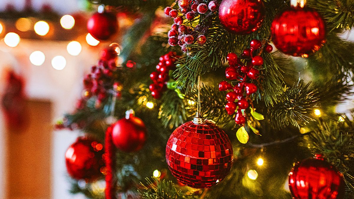 Here's What Your Christmas Tree Says About Your Personality | Woman's World