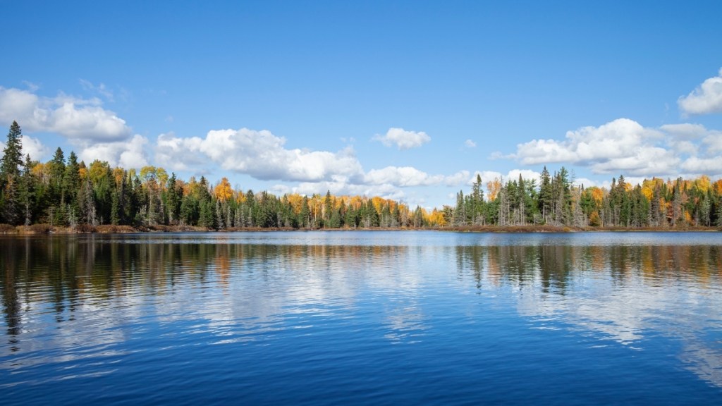 A blue lake surrounded by trees and a clear blue sky