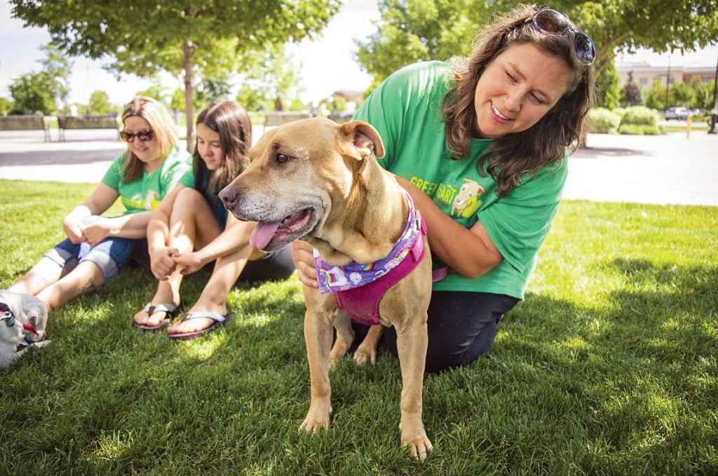 Volunteers and dogs with Grey Muzzle