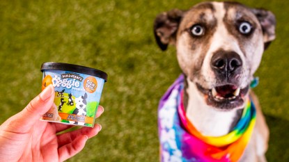 Hand holding Ben & Jerry's dog ice cream with dog next to it