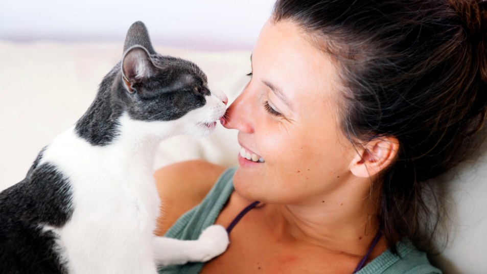 Cat licking woman's nose. 