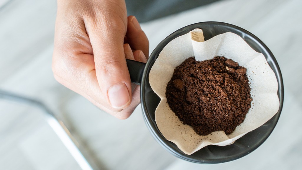 The Benefits of Using Coffee Grounds For Plants