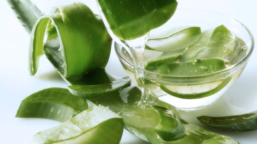 A sliced open aloe leaf in a bowl of water