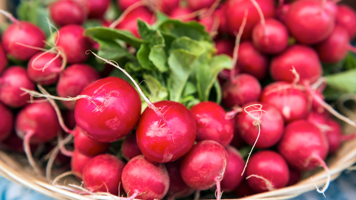 Benefits of Radishes Are Radishes Good For You? Woman's World