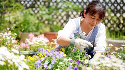 Woman gardening flowers