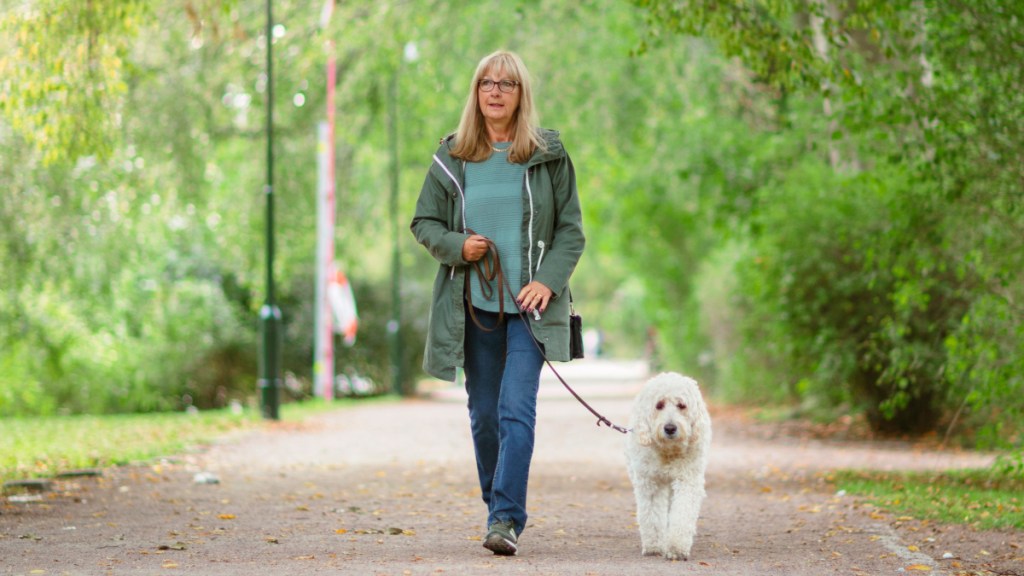 A blonde woman in jeans and a jacket walking her white dog in a park with green trees to prevent cataracts naturally