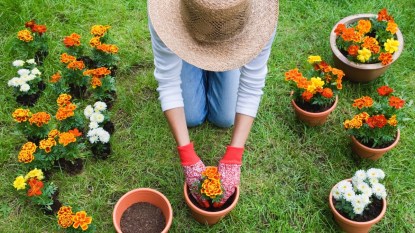 A woman wearing a sun hat while planting flowers outdoors as she avoids gardening pain