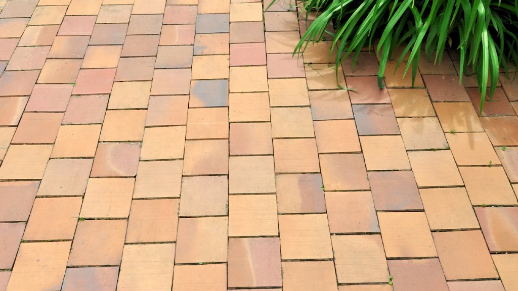 Terracotta synd image