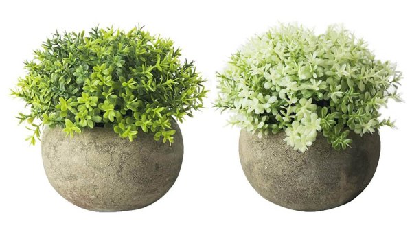 two artificial plants