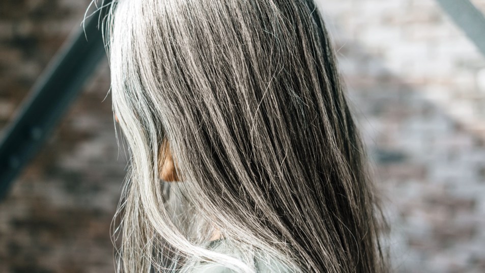 Woman's long gray hair