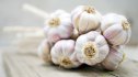 Garlic bulbs