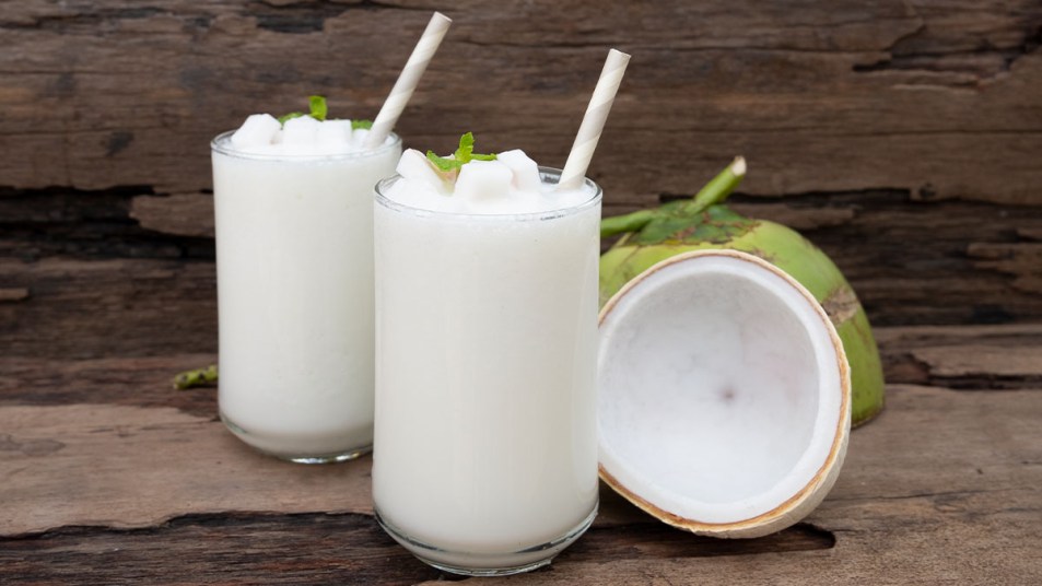Creamy Coconut Shake for Dr Berg Keto Diet