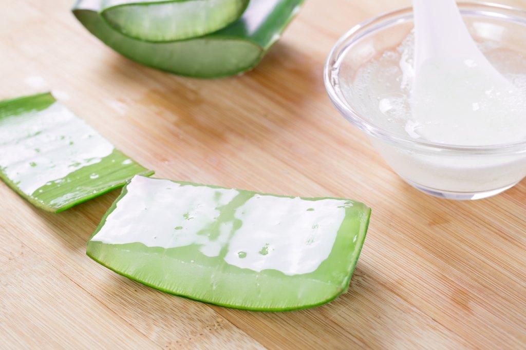 Aloe vera plant on wooden table with bowl of aloe vera gel.