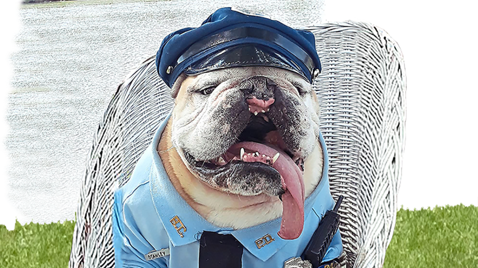 stanley the dog in a police uniform