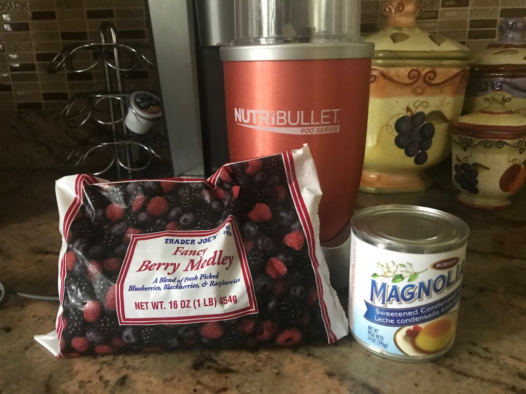 2 Malzemeli Yoğunlaştırılmış Sütlü Berry Dondurma